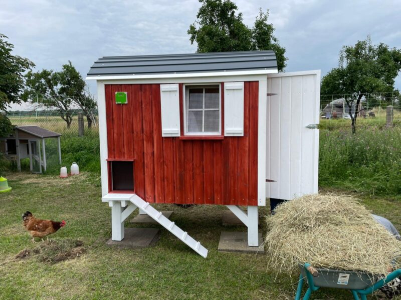 Roter Hühnerstall mit elektrischer Luke