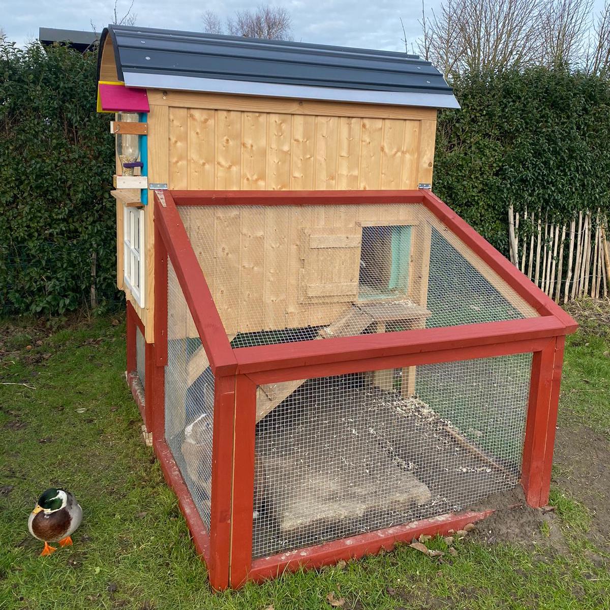 Kaninchen Zuchtstall Bauen
