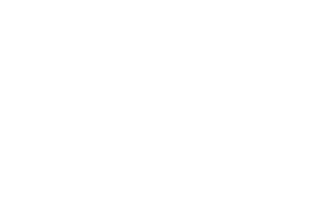 Logo Der Holz Hannes