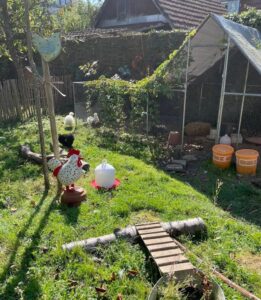Garten mit Hühnern