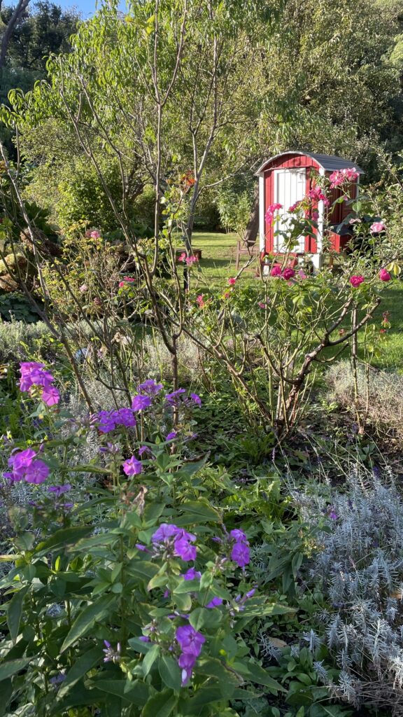 Kleiner Bauwagen im Garten Paradies