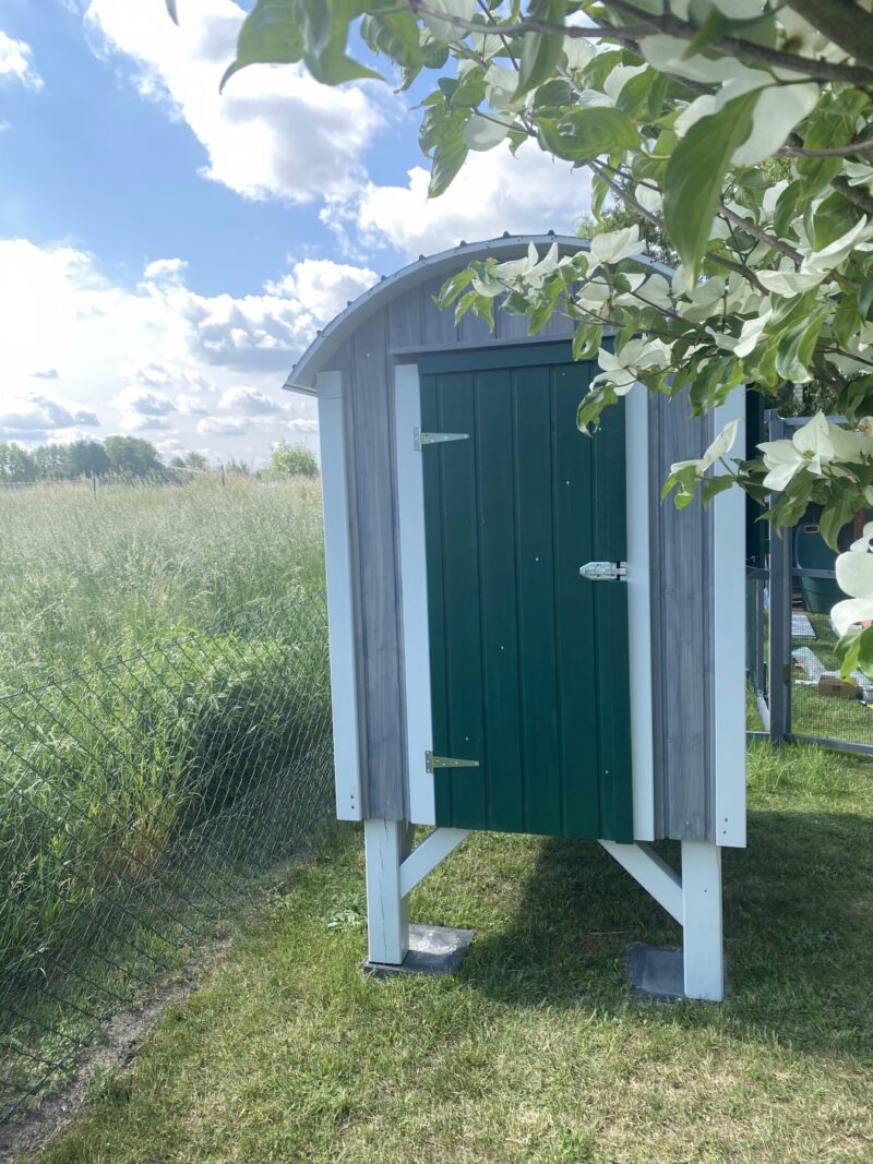 Hühnerstall mit bepflanzbarem Gründach – Bild 4