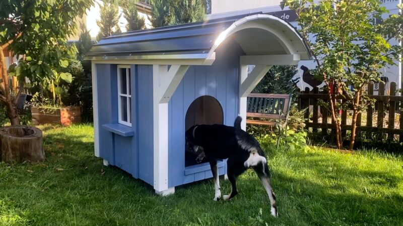 Hundehütte – Bild 6