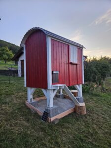 Hühnerstall im Abendlicht