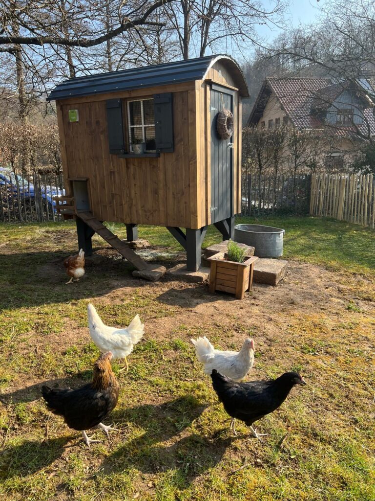 Der Kleine Bauwagen als Hühnerstall bei Inka
